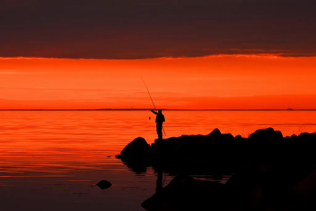 Коттедж Домик Коиви в Приморске — Приморск
