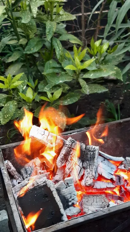 Видовой апартамент с террасой