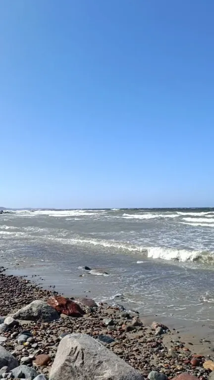Квартира Отличная квартира в шаговой доступности от моря — Пионерский