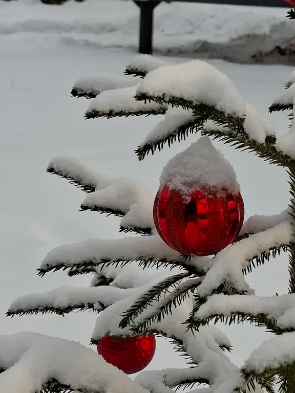 Дом с баней