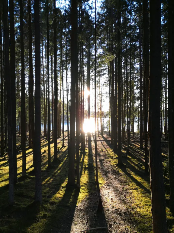 Дом на Селигере