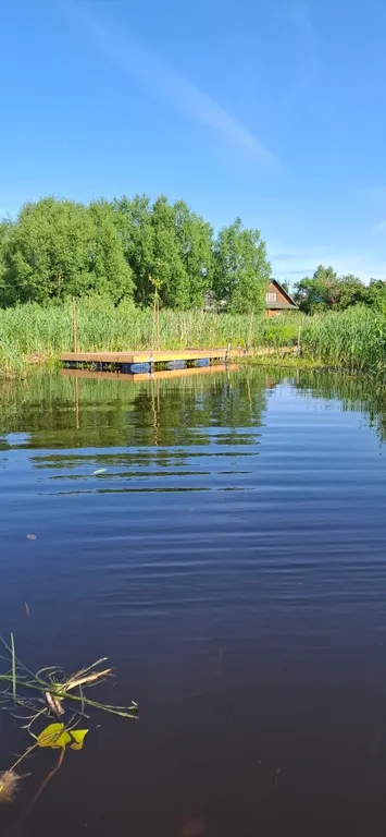 Коттедж Коттедж Селигерское — Березово