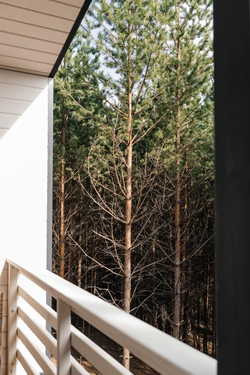 Уютный гестхаус Горки посреди леса и в полном уединении, баня и чан