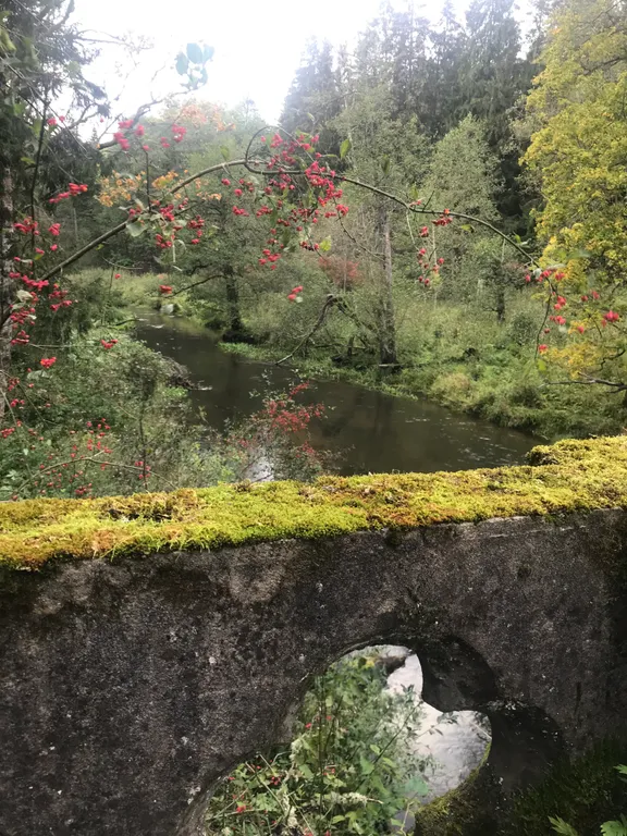 Апартаменты в Краснолесье