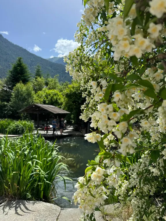 Коттедж Дом с баней и озером — Теберда