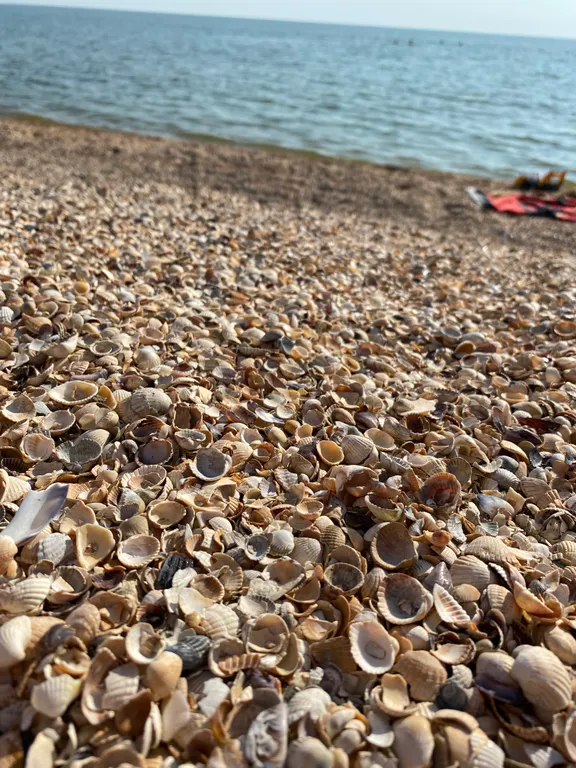 Деревянный домик на Пушкина