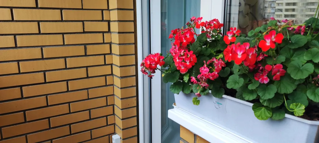 Уютная, замечательная, светлая квартира с отличными отзывами