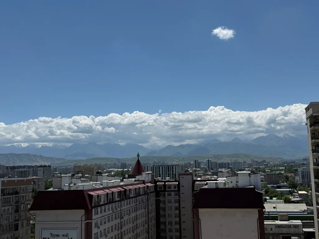 Просторная квартира в центре города