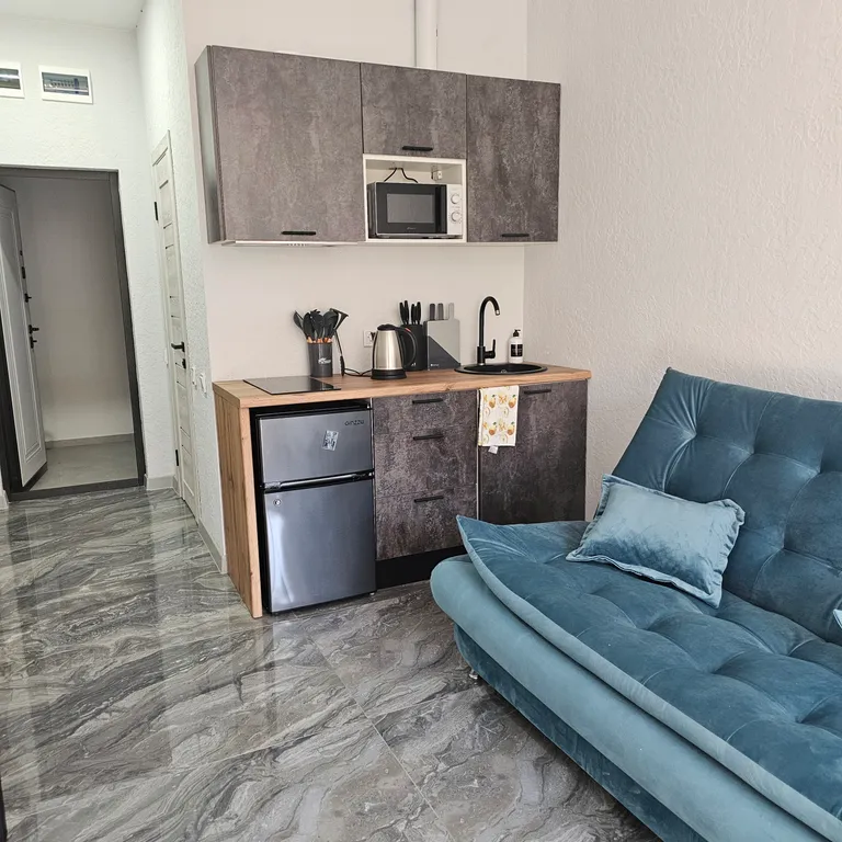 Апартаменты-студия c кухней 43