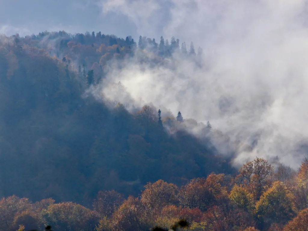Уникальный дом-баня с собственной террасой