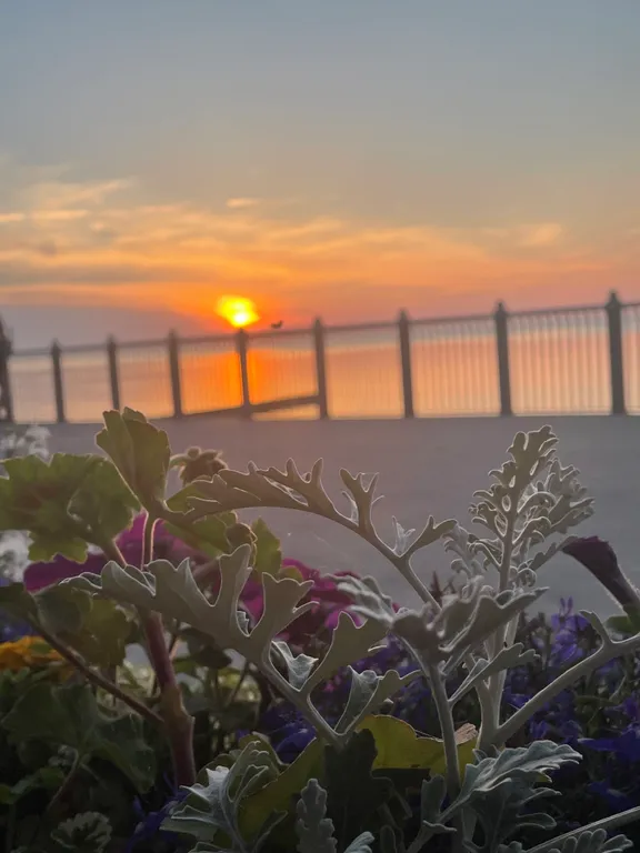 Квартира Квартира Раушен — Светлогорск