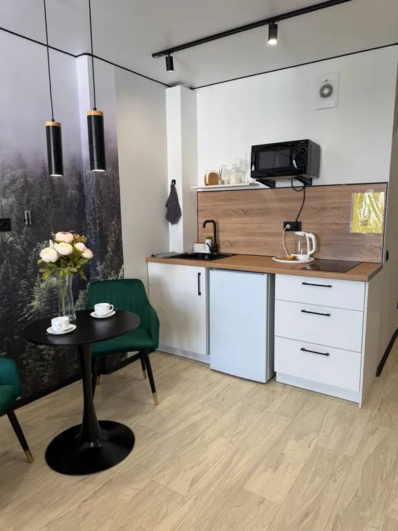 Туманный лес студия