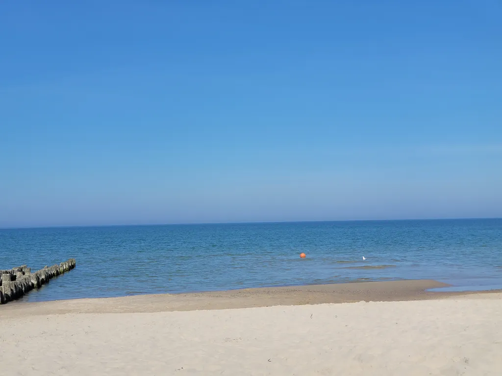 Квартира Роскошные апартаменты в самом сердце Светлогорска — Светлогорск