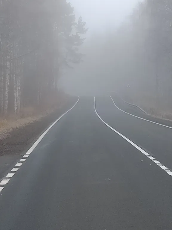 Карельский дом на берегу  озера.