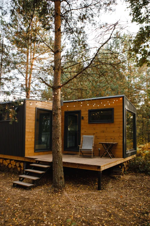 Дом Скандинавия Лес