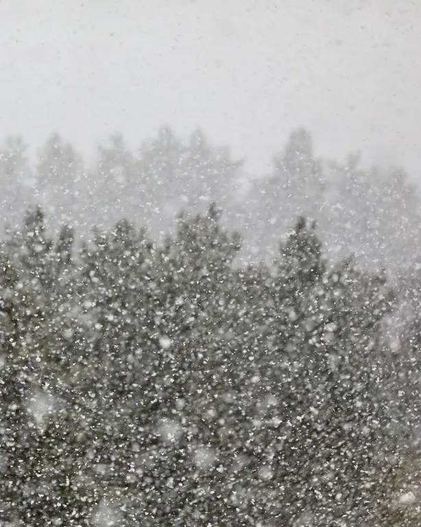 Видовая серф студия