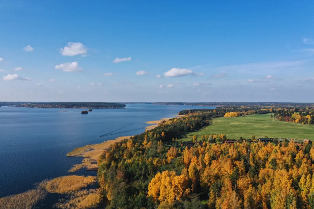 Домик с панорамным окном рядом с озером и видом на лес