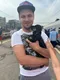 Антон