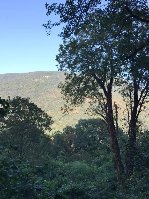 Коттедж Гостевой домик с видом на горы — Сочи