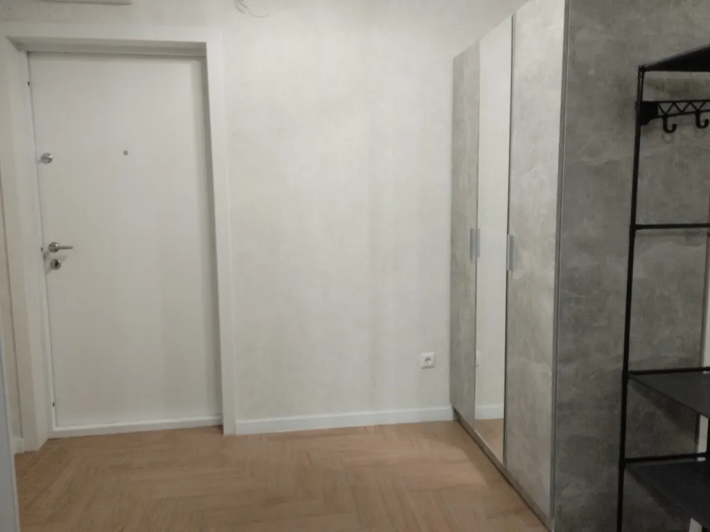 Большая квартира-студия