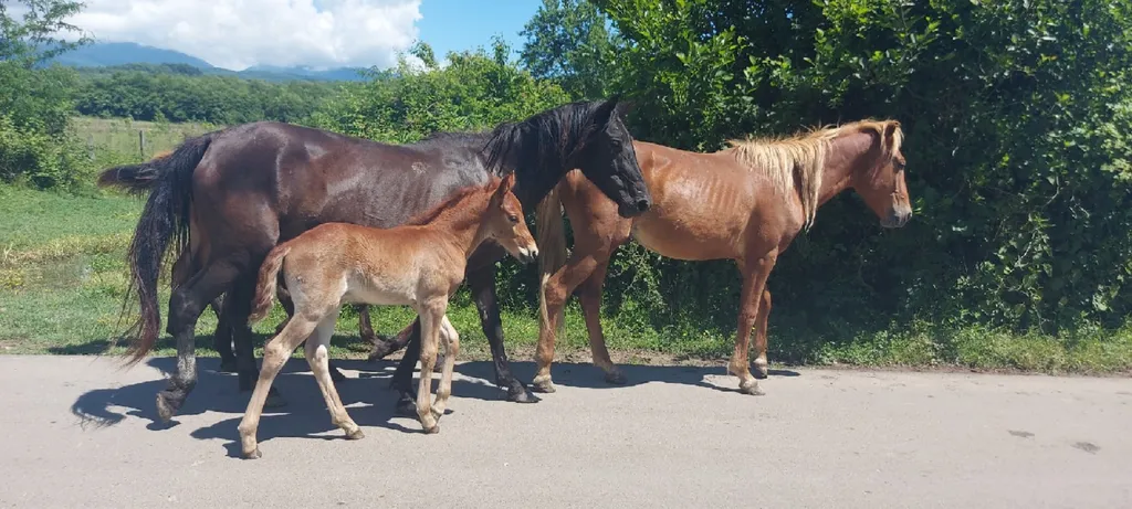 Дом для спокойного отдыха