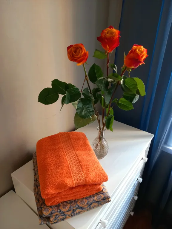 Квартира Квартира Атмосферная евро-трёшка в ЖК Покровка-life Центрального р-на — Красноярск