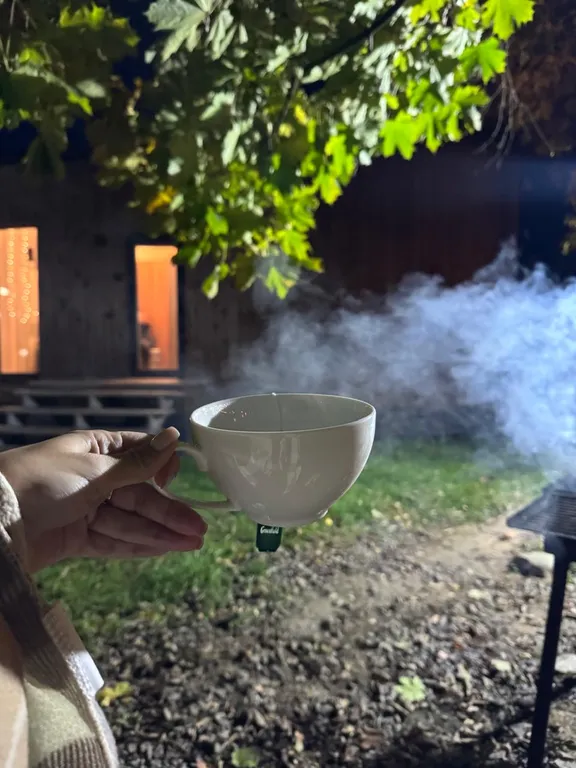 Отличный отдых рядом с курортом Игора