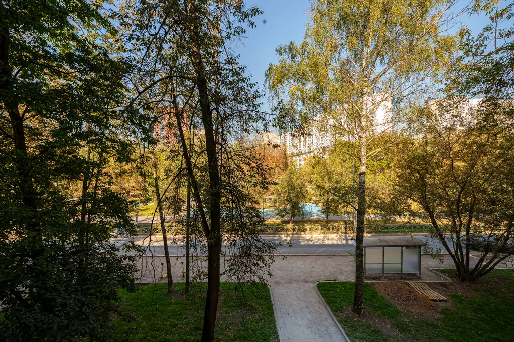 Комфортная студия