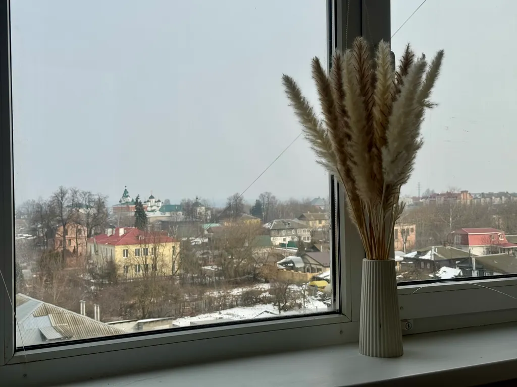 С видом на реку и все монастыри