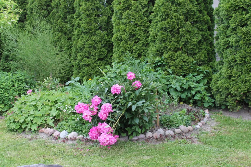 Коттедж Коттедж Лайтхаус Кот Маркиз 1А — Зеленоградск