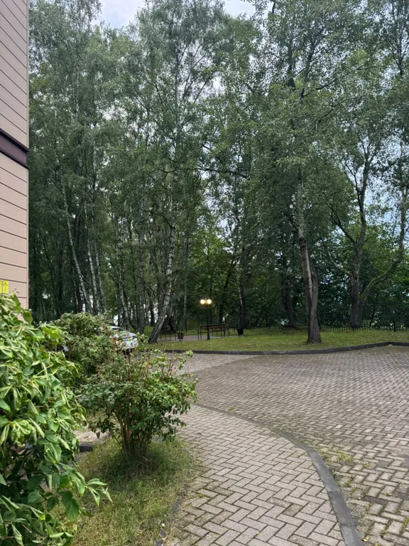 Квартира Закатные Апартаменты — Светлогорск