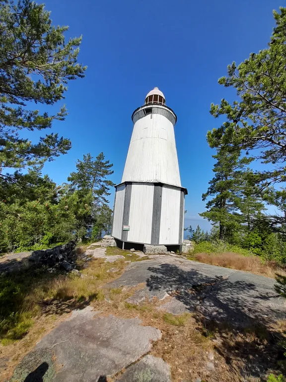 Квартира в сосновом бору