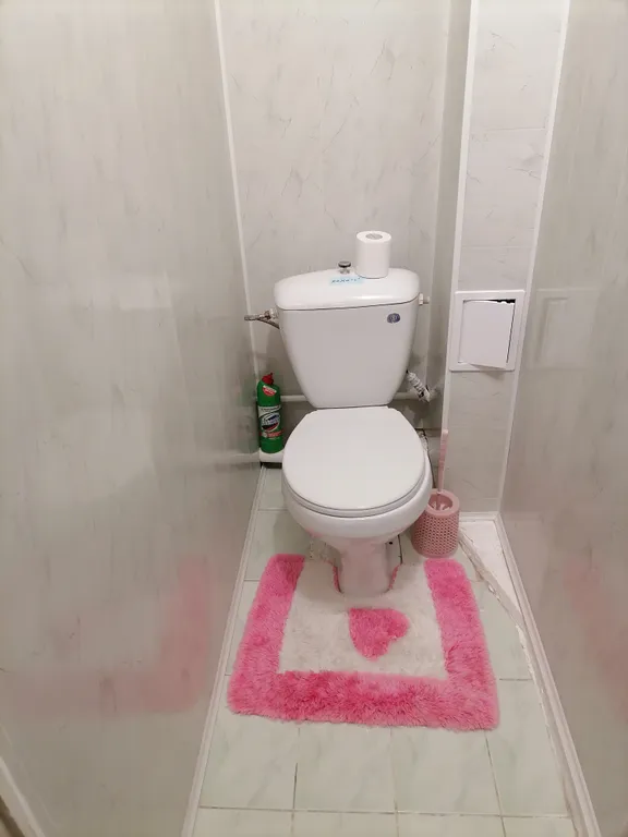 Уютная эконом квартира Копыловский мост