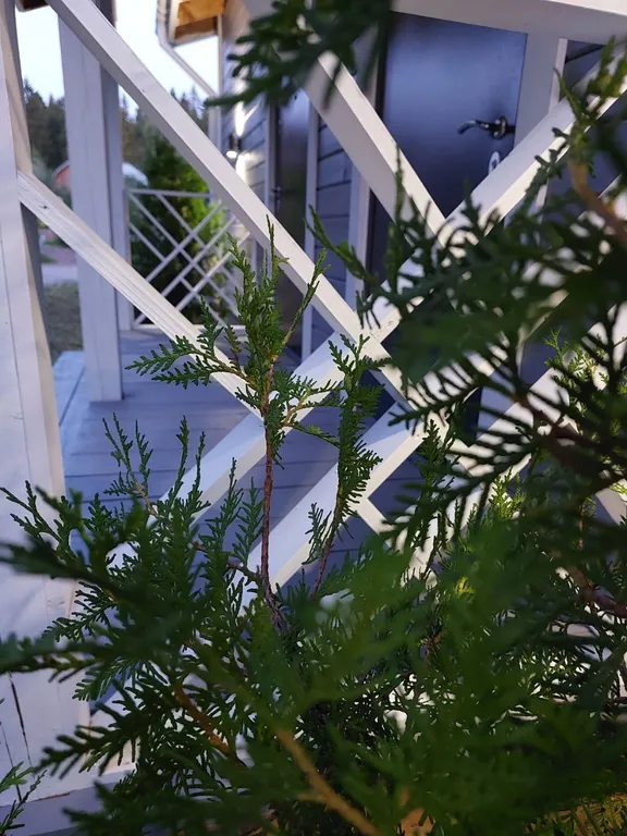 Гостевой двухкомнатный дом South lane.