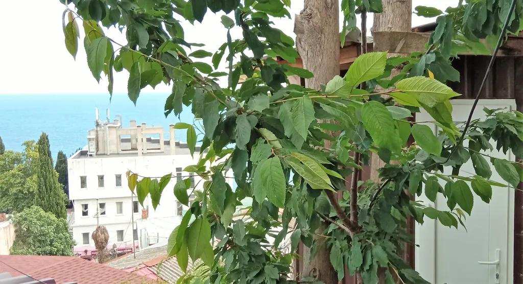 Домик с видом на море