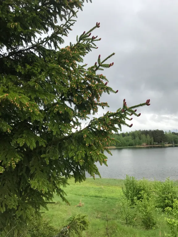 Дом на холме