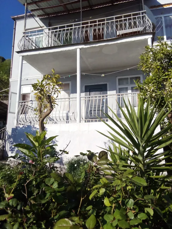 Квартира Квартира Люкс в частном секторе с кухней — Гагра