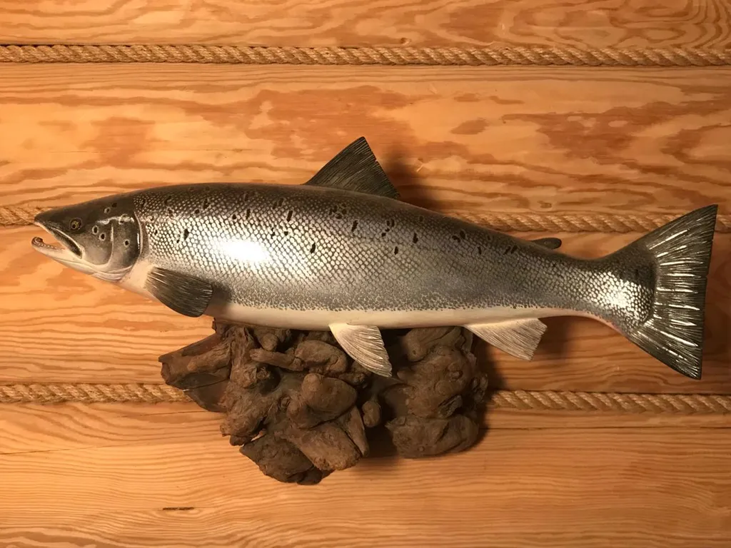 Коттедж Уютный дом на берегу реки — Новая Ладога