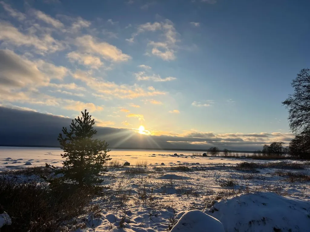 Коттедж Коттедж с видом на море — Приморск