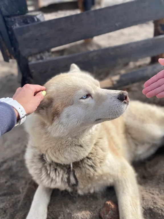 Квартира на краю земли