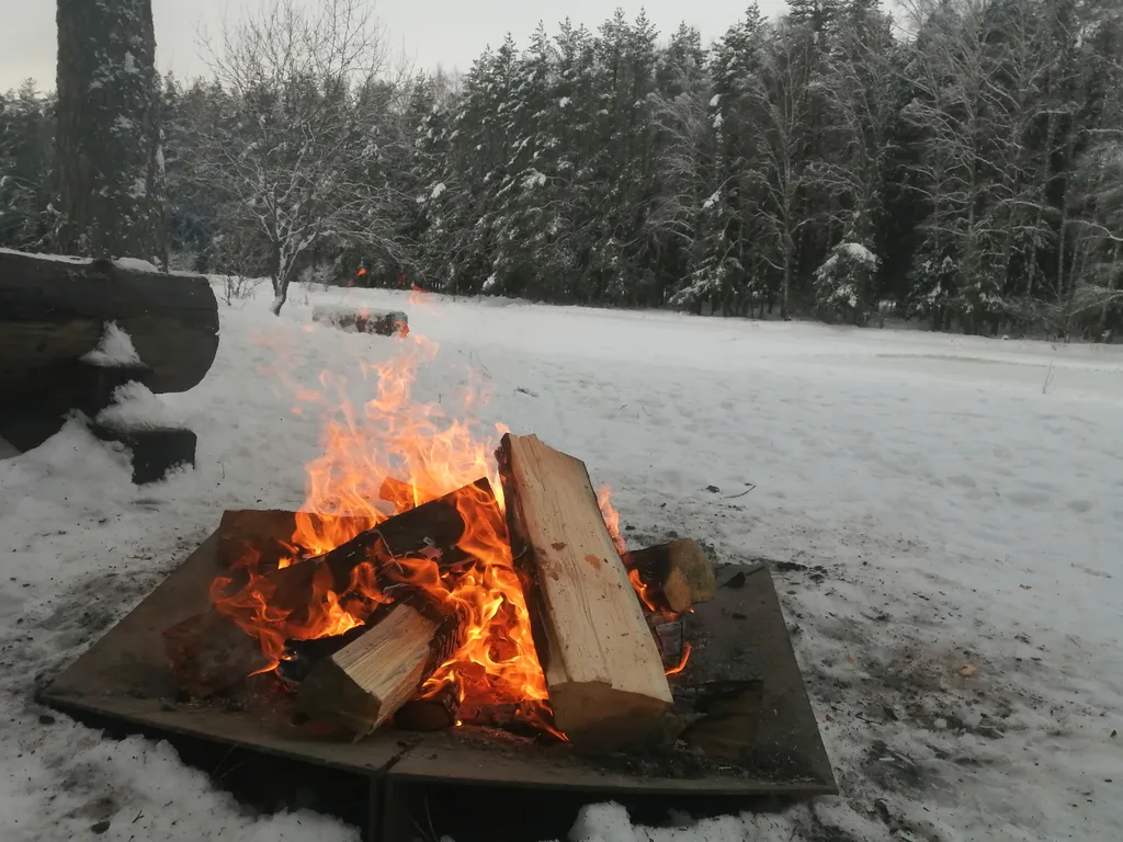 Барнхаус в лесу с розовой гостиной