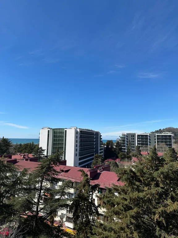 Уютная квартира с видом на море и город — аренда посуточно в Хоста