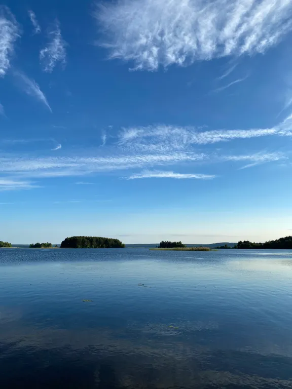 Домик в лесу с потрясающим видом из окна с банным комплексом