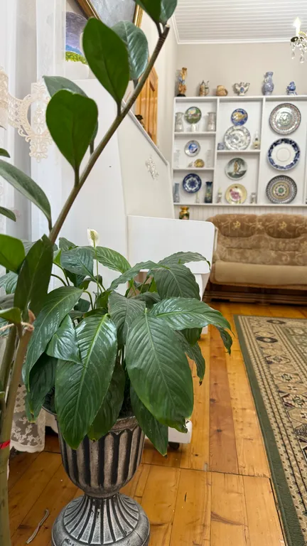 Деревянный дом с красивым видом на море