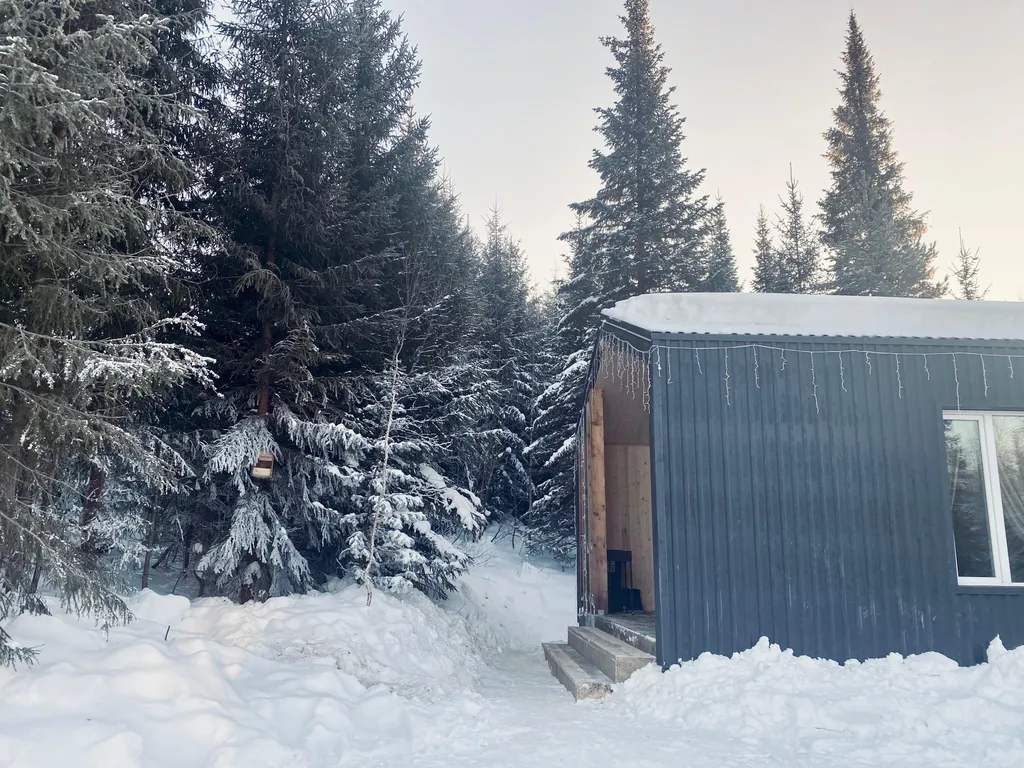 Уютный домик с панорамным видом на лес