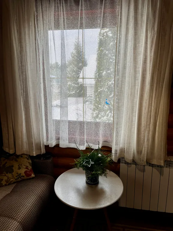 Коттедж 2-комнатный Дом — Богослово