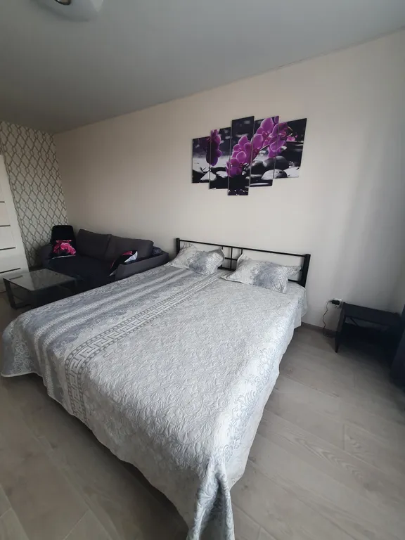 Аппартаменты на Лунной