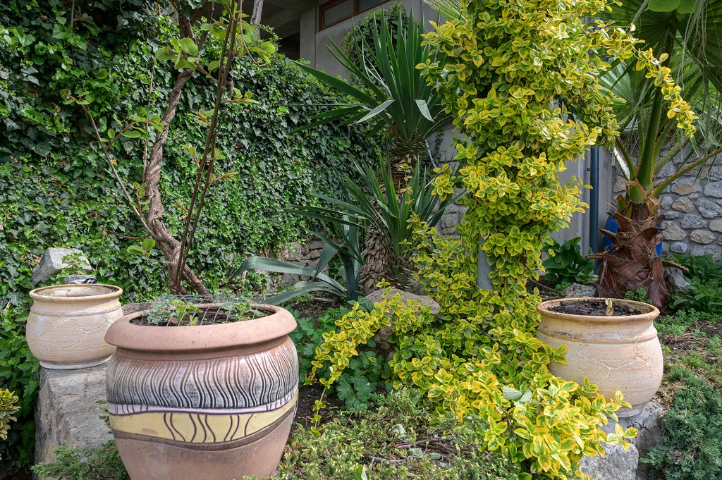 Студия Люкс с видом на море