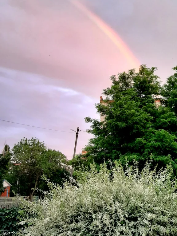 Комфорт Ника