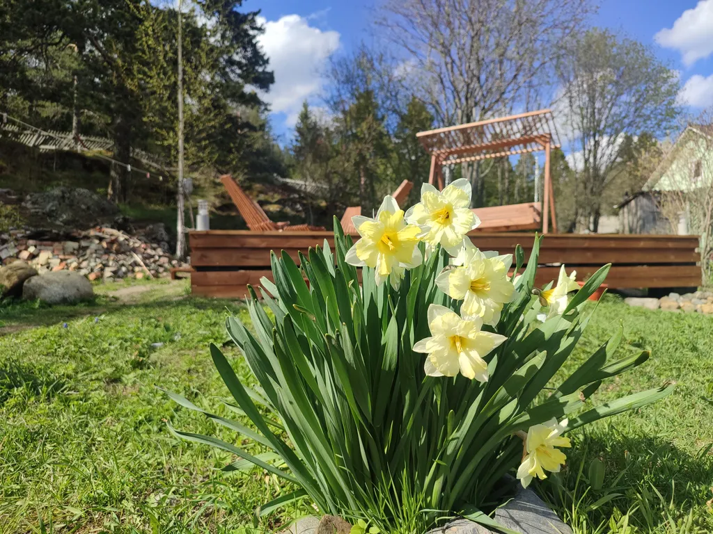 Уютный, современный, новый дом